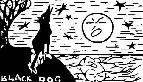 Black Dog Graphics border=